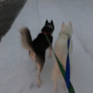 Meet your Posher, Eva